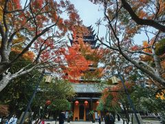 -常熟方塔园
