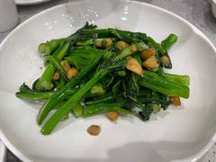 清炒菜心-紫光园·烤鸭·北京菜(团结湖店)
