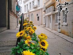 -世界之窗阿尔卑斯冰雪世界
