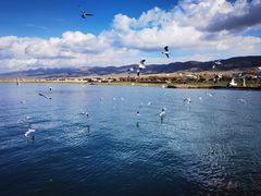 -青海湖国家重点风景名胜区