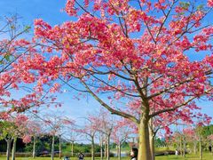 -风云岭森林公园