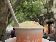 Mixed&nbsp;citrus-DIP in GELATO(富民路店)