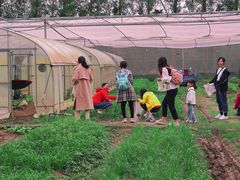 -前小桔亲子创意农场·草莓采摘·露营烧烤