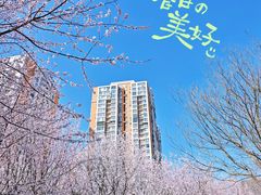 -太阳宫公园