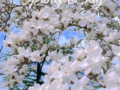 -国家图书馆·古籍馆