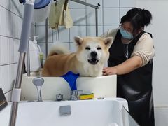 -派多格宠物·购宠(靛厂路店)