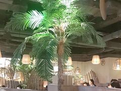 -大头椰·椰子鸡火锅(南宁万象城店)