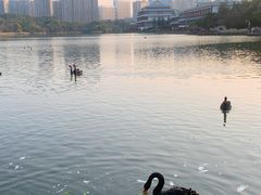 -五缘湾湿地公园