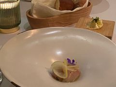 -蝶舍·MAISON PAPILLON