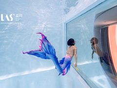 -上海潜殿潜水中心