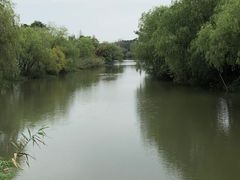 -长兴太湖图影湿地文化园