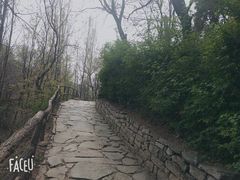 -井塘古村