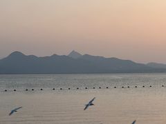-深圳湾公园(南山区)
