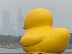 -深圳人才公园