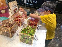 -GODIVA(王府井apm店)