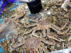 -盒马鲜生(岭南新世界店)