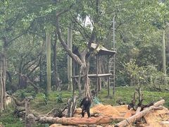 -广州长隆野生动物世界