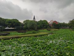 -美兰湖景区