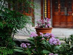 -大小河街