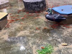 -嘉兴海底世界