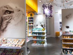 -KKV(深圳宏发大仟里店)