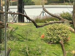 -武汉动物园
