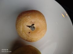 -上海松江假日酒店