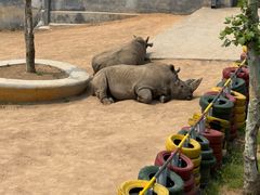 -西霞口神雕山野生动物世界