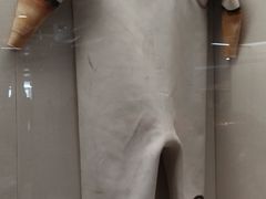 -上海中国航海博物馆