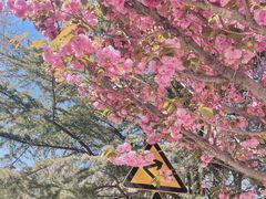 -石岛赤山风景区