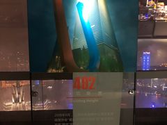 -上海环球金融中心云端足球盛典