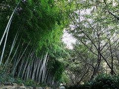 -九龙潭景区