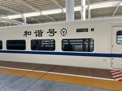 -深圳坪山站