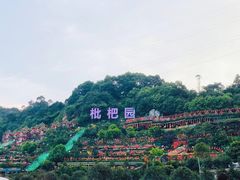 -枇杷园食为鲜火锅(南山店)