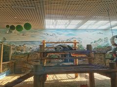 -西霞口神雕山野生动物世界