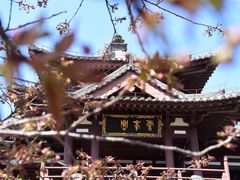 -西安青龙寺遗址景区
