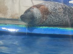 -左海海底世界