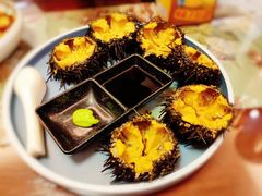 活海胆-以前的小酒馆(中山广场店)