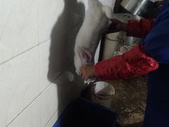 -陈有良尖椒鸡(江津总店)