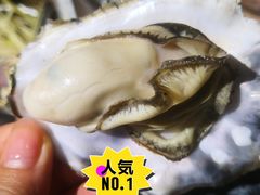 -蚝美人·生蚝海鲜烧烤(茶花园店)