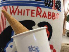 凤凰单枞雪糕-歎雪糕低糖低脂Gelato冰淇淋
