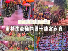 -正佳雨林生态植物园
