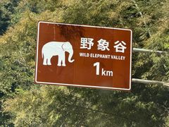 -野象谷景区