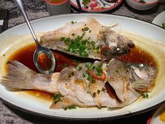 -新白鹿餐厅(松江开元地中海店)