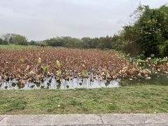 -良渚古城遗址公园