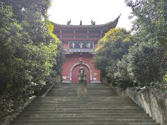 -铁山坪森林公园