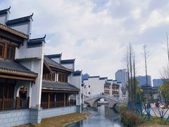 -洋湖国家湿地公园