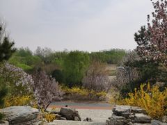 -大兴滨河森林公园