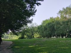 -长白岛森林公园