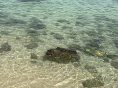 -三亚西岛海洋文化旅游区